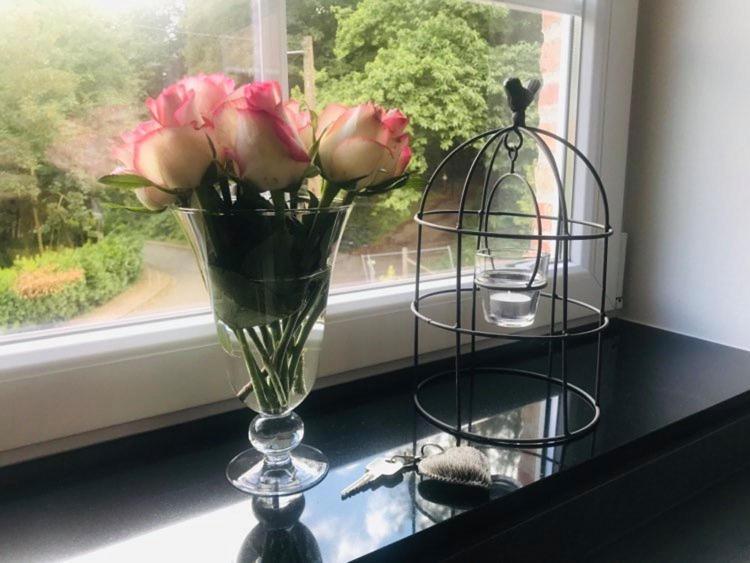Vakantiewoning D'Hoppe Flobecq Екстериор снимка